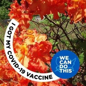 Meet your Posher, Loretta